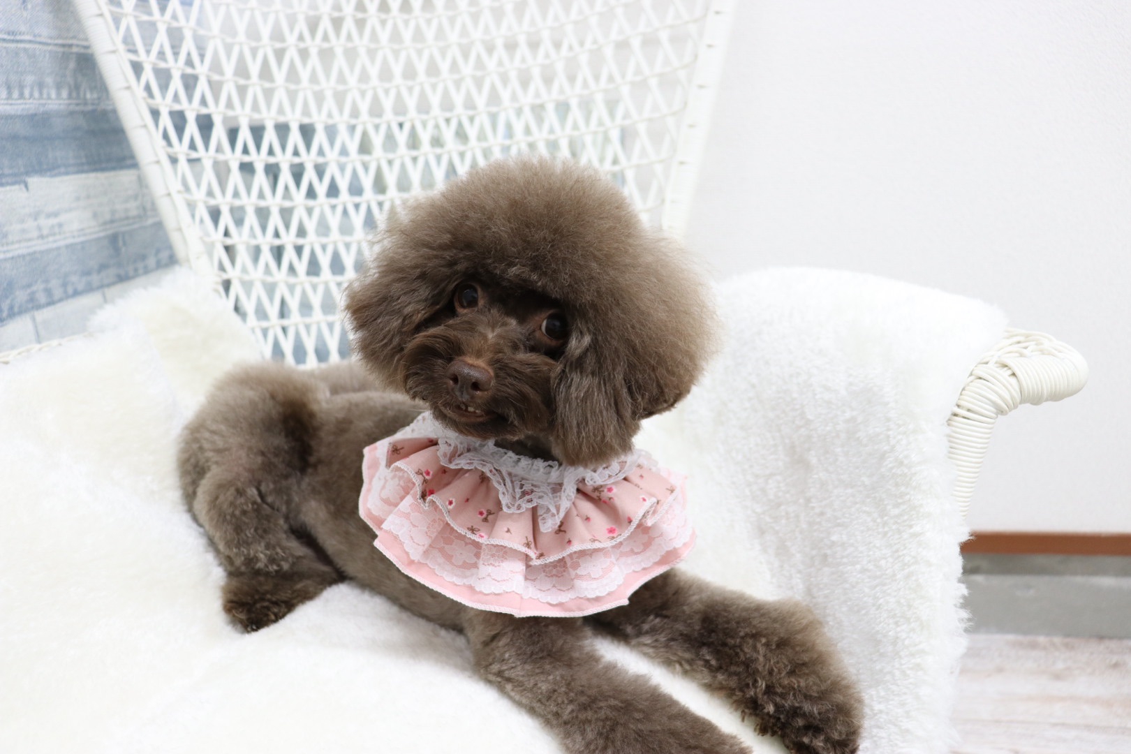 Dog Salon fwa fwaの外観