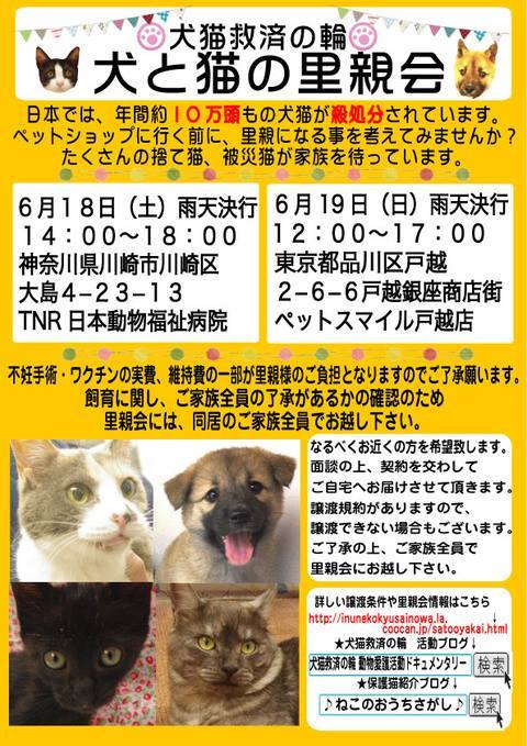 明日6月19日 日 品川区戸越 犬と猫の里親会が開催されます にゃぱねっと Ownd