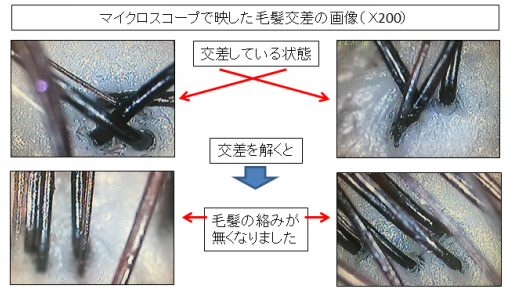 特許取得の新技術「ライナーカット」のご紹介 | organic salon few