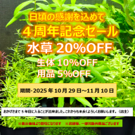 レイアウトに使える 水草500種図鑑」の中国語版です。 | water plants