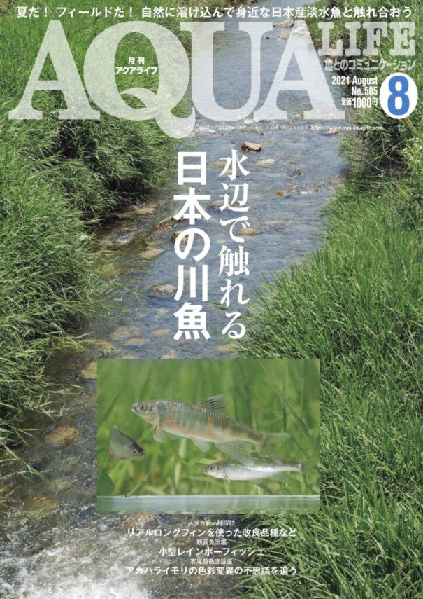 連載記事 アクアリウムの水草図鑑 第3回が掲載されています Water Plants Lover