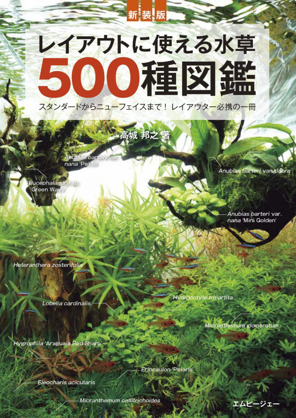 レイアウトに使える水草500種図鑑 第2刷発行されました Water Plants Lover
