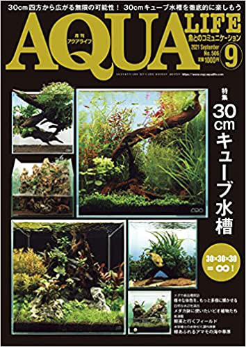 連載記事 アクアリウムの水草図鑑 第4回が掲載されています Water Plants Lover