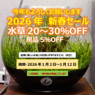 レイアウトに使える 水草500種図鑑」の中国語版です。 | water plants