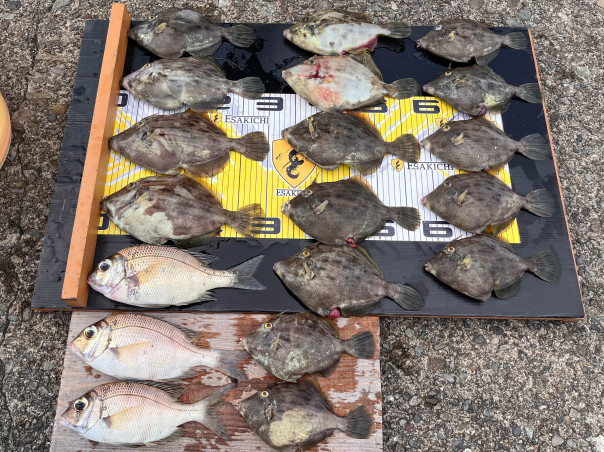 08月26日 金 大潮 白浦 栄丸