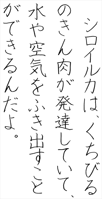 令和5年 硬筆大会 | 新潟大学書道教育学会