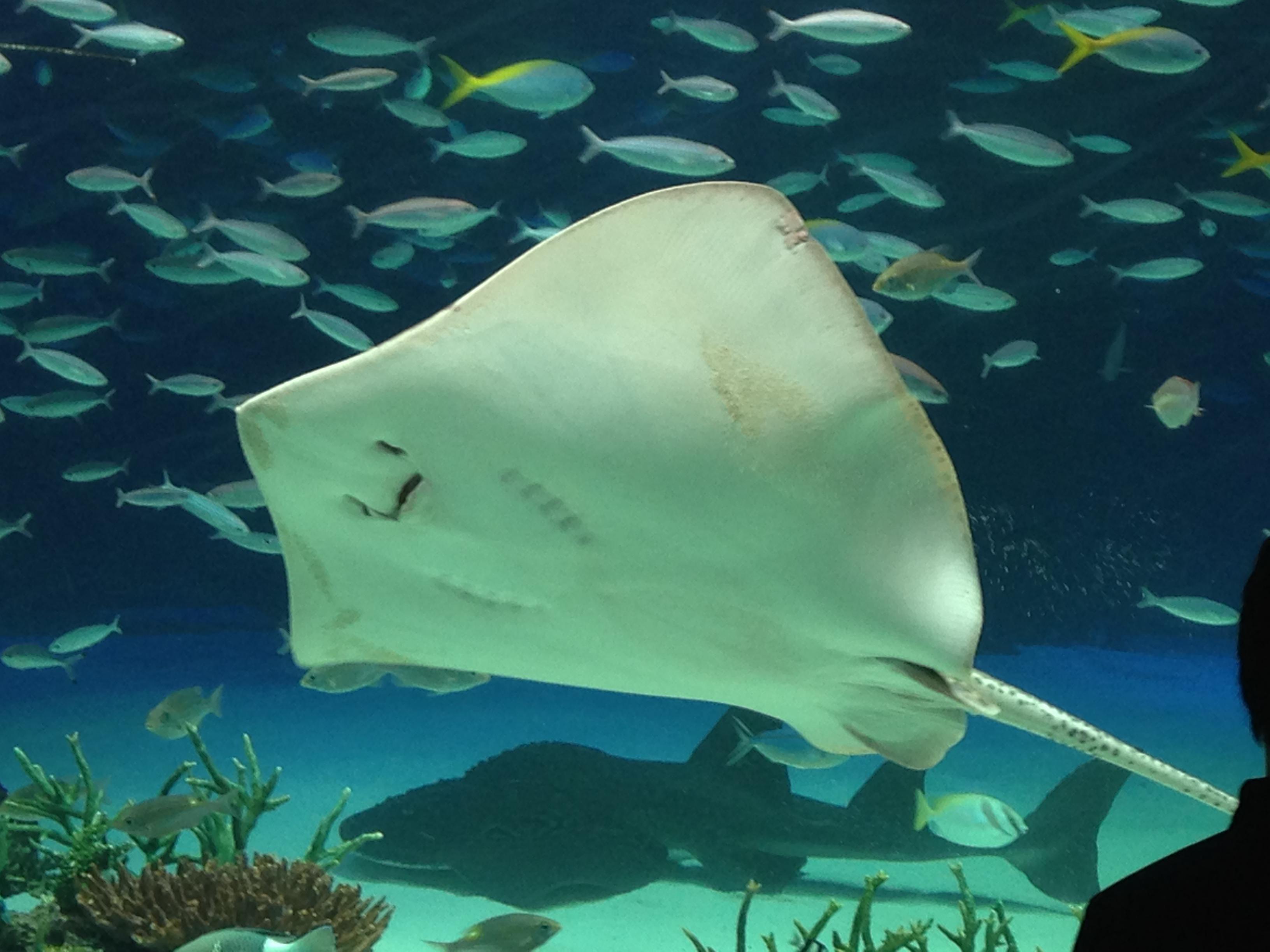 サンシャイン水族館ざます 後編 鳥トリート