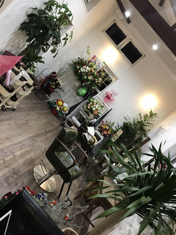 Greenroomの観葉植物は10種類以上 Ishikawa Toru