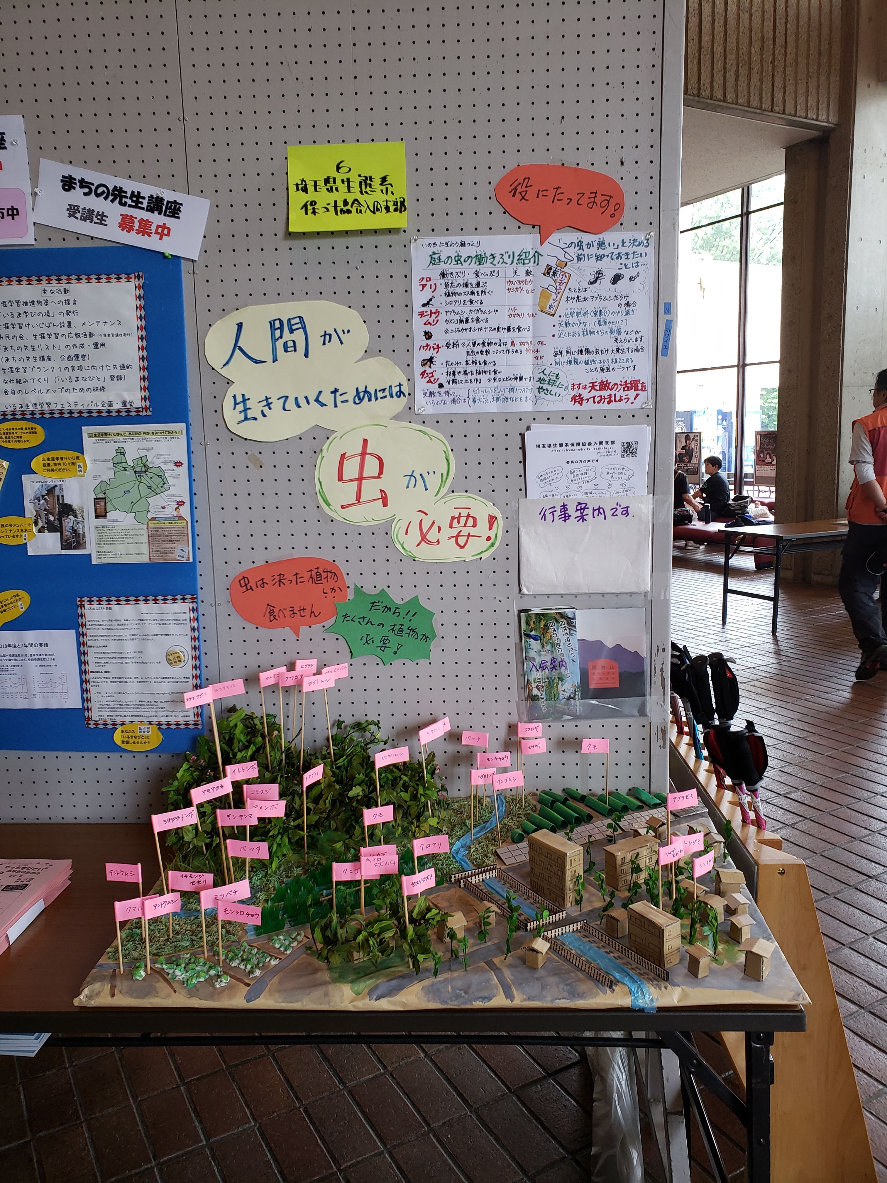 野草の天ぷら in 大森調節池  埼玉県生態系保護協会入間支部