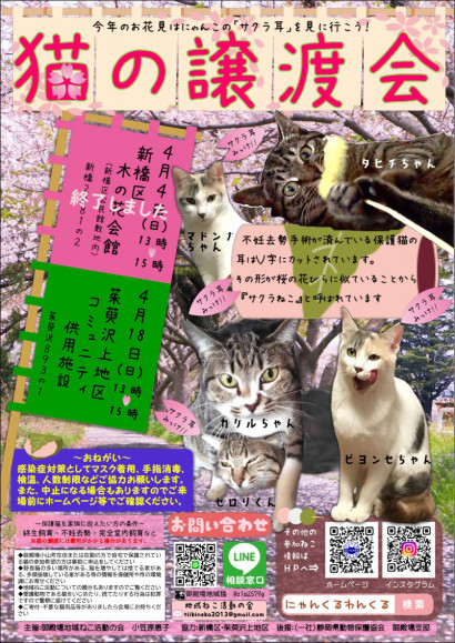 次回譲渡会は 5月9日 北久原区公民館 にゃんくるわんくる御殿場hp