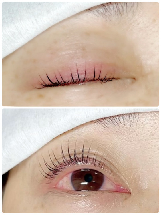 パリジェンヌラッシュリフト Eyelash Salon 703 パリジェンヌラッシュリフト Eyelash Salon 703