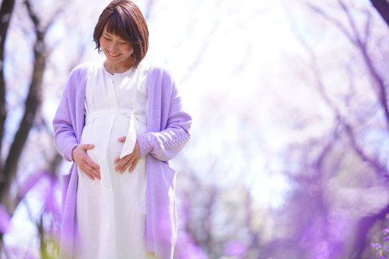 For Maternity Location Plan Photo Studio School Kinomama For Maternity Location Plan Photo Studio School Kinomama