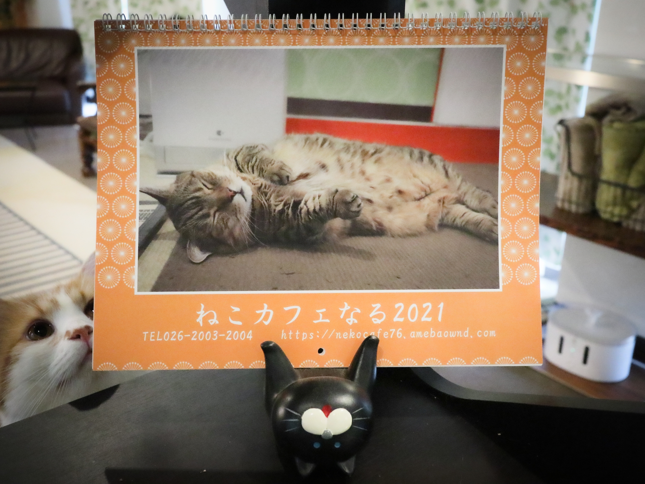 21ねこカフェなるオリジナルカレンダー最終予約販売受付 11 6 11 ねこカフェなる 長野の猫カフェ リニューアル