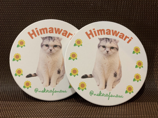 ねこカフェなるオリジナルひまわりコースターが販売開始です ねこカフェなる 長野の猫カフェ リニューアル ねこカフェなるオリジナルひまわりコースターが販売開始です ねこカフェなる 長野の猫カフェ リニューアル