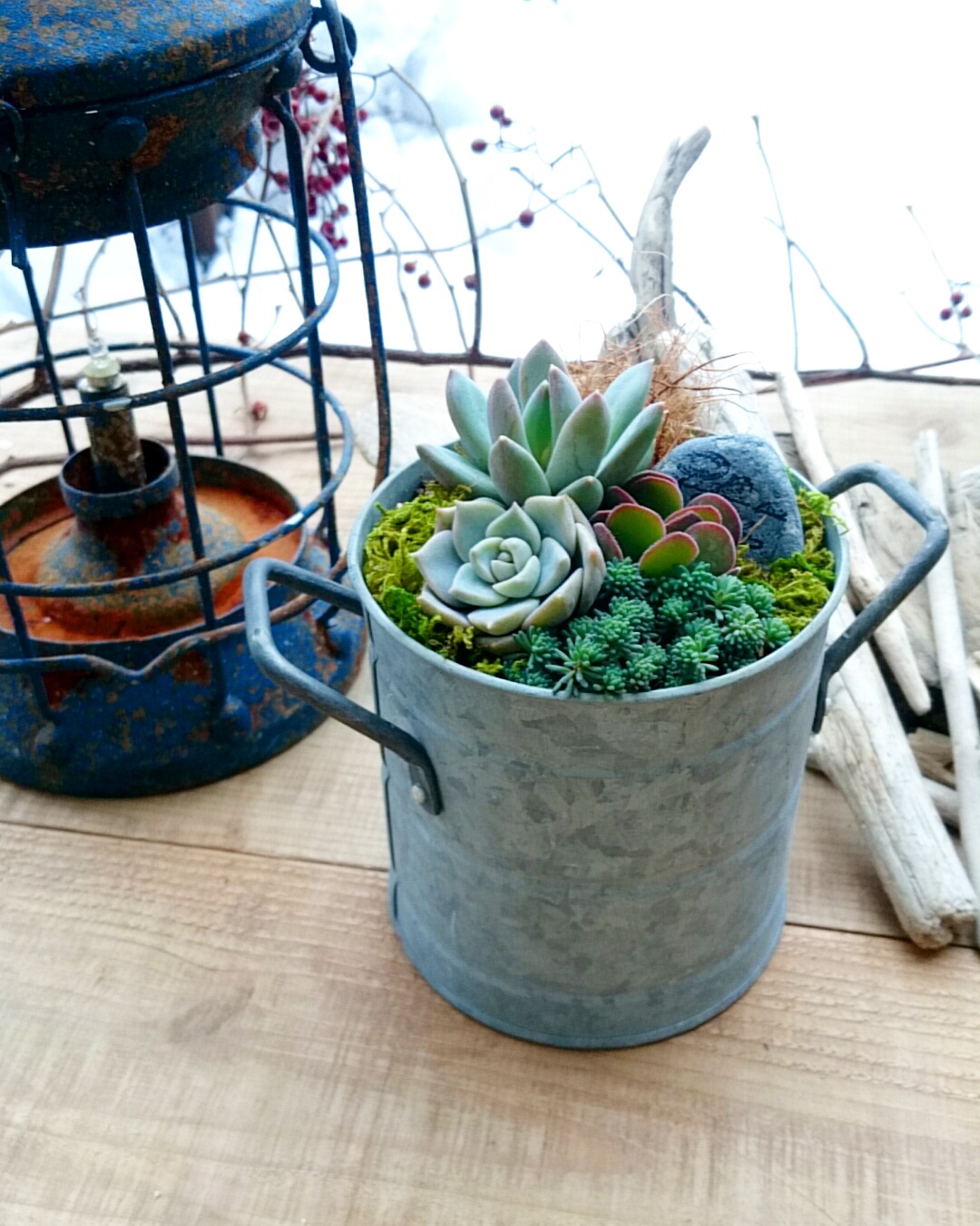 Aming 藤の木店 多肉寄せ植えworkshop募集 | p.succulent