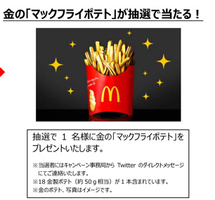 驚愕 マクドナルドのポテトなのに食べれない Nom De Plume ノンデプルーム