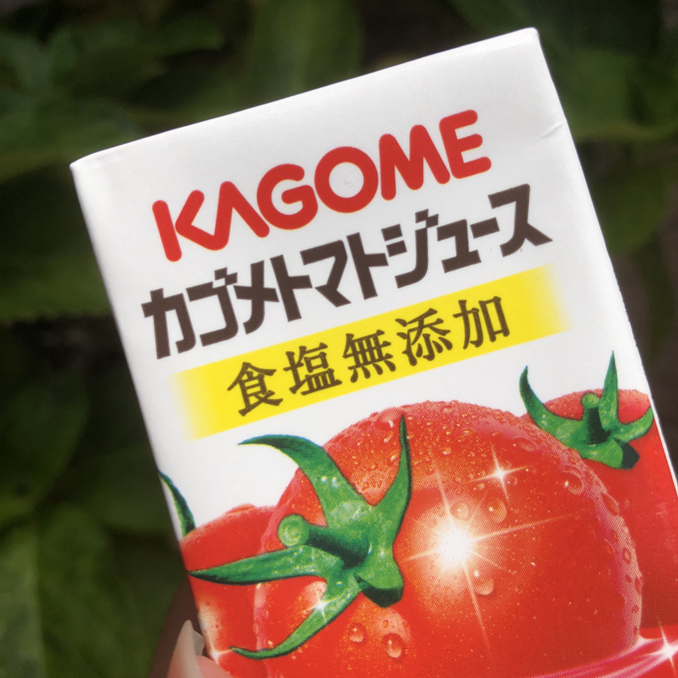 トマトジュース1週間飲んでみた Nom De Plume ノンデプルーム