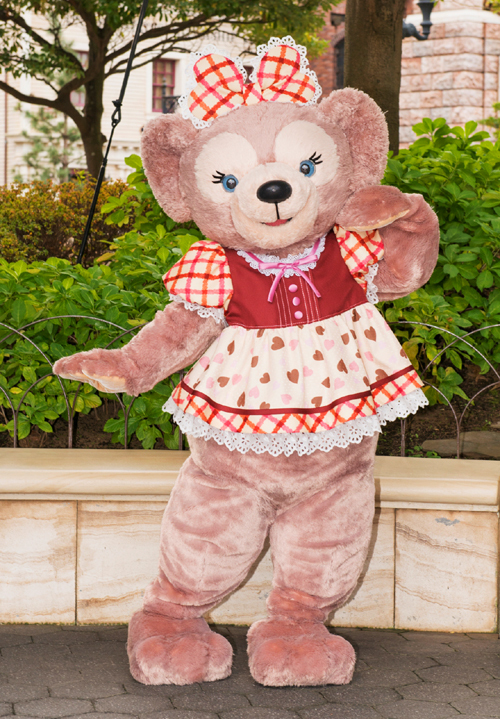 大好きなミッキーとミニーへ贈る💗「スウィート・ダッフィー