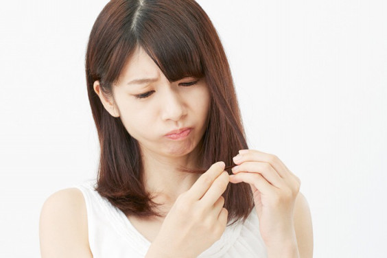 髪と女性ホルモンの関係 Hair Brand Avien