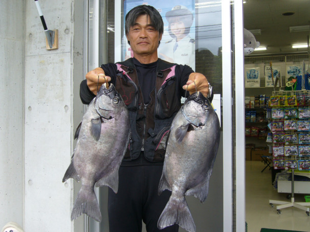 釣果写真 ９月２３日 石鯛 石鯛 柴釣具商会 日向灘にもっとも近い釣具店