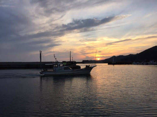 夏の海 夜でしか見られない風景 Rakudo Izumo 楽しみながら土にまみれよ