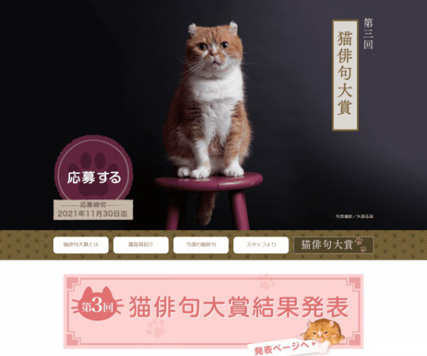 猫俳句で10万円ゲット めちゃカワ作品続出の猫俳句大賞 マネー探検隊が行く