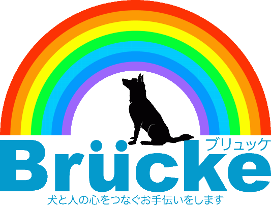 ロゴマークに込めた思い Brucke ブリュッケ ロゴマークに込めた思い Brucke ブリュッケ
