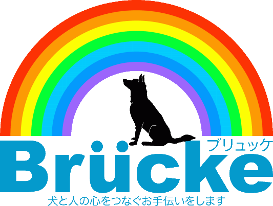 ロゴマークに込めた思い Brucke ブリュッケ