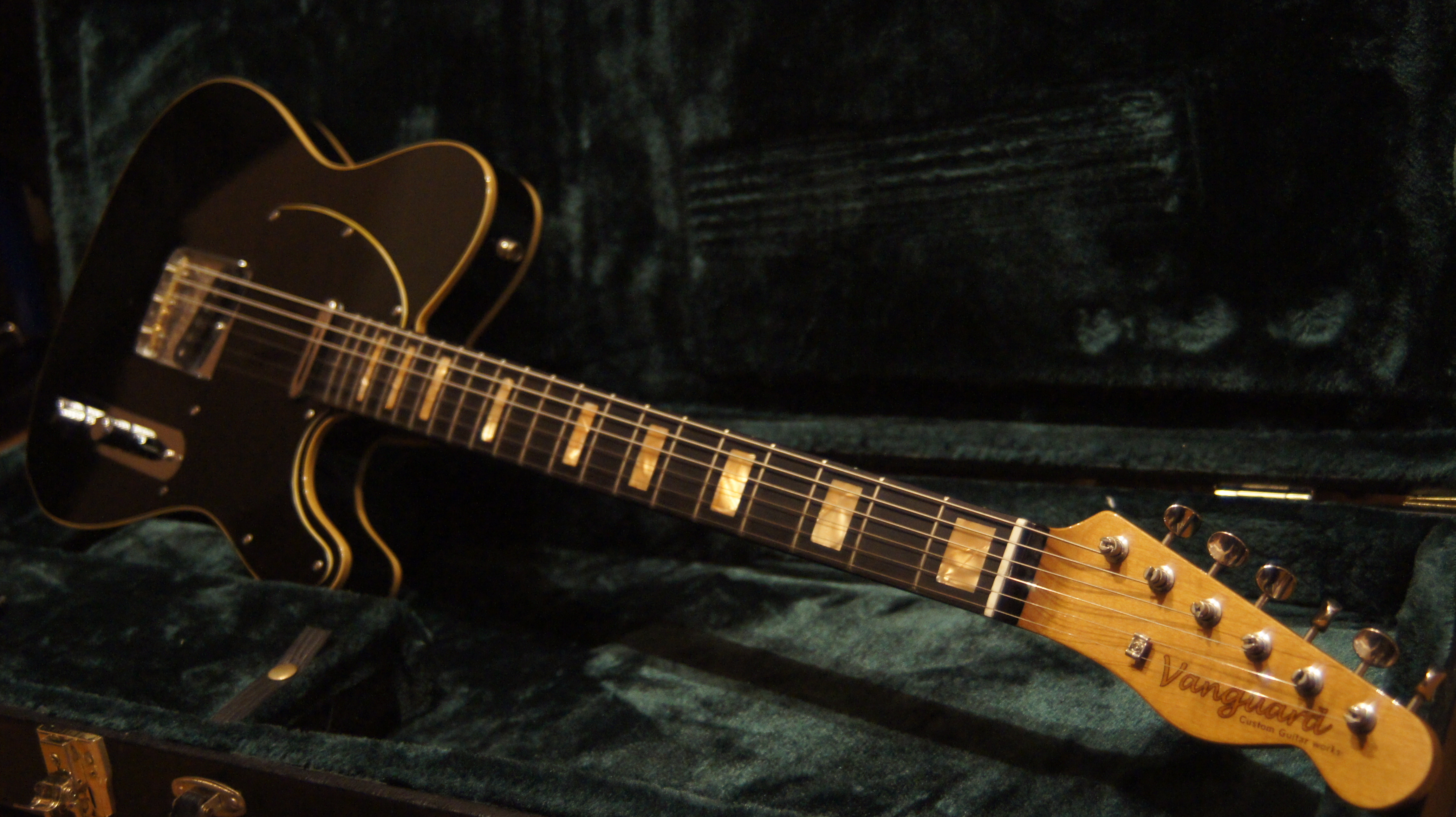 earth custom guitar works