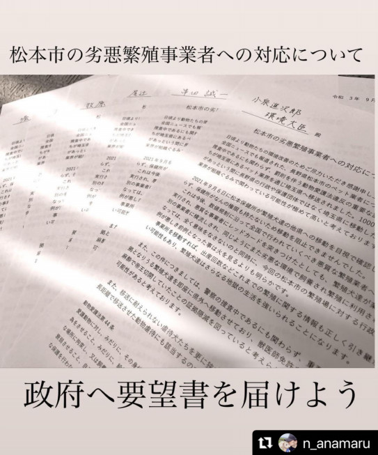 続 松本市劣悪繁殖業者関連コピペメールアクション Voice For Animals Japan