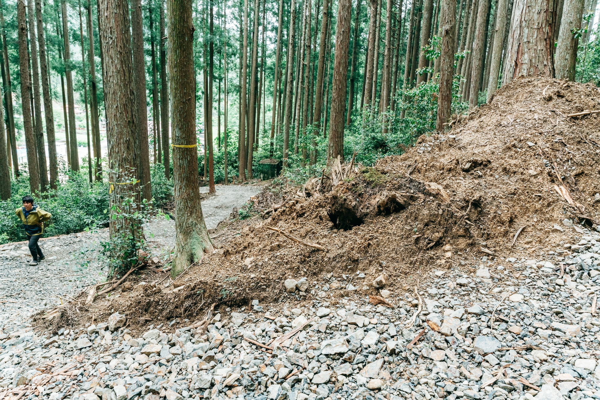 森林工場への道 森の町から未来の経済と人を育てる【DEEP FOREST BOX Vol.3
