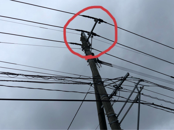 電柱や電線の来る鳥 糞害を解決するにはどうするの 熊本市城南町下宮地にあるhairbase ヘアーベース 菅繁樹 のブログメインサイトです