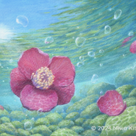 絵画・額縁・版画・中川 学・新品未使用・寒椿圖・小琳派・美術品・インテリア・雑貨 椿流るる小川 | Miwa KITAGAWA Official Website