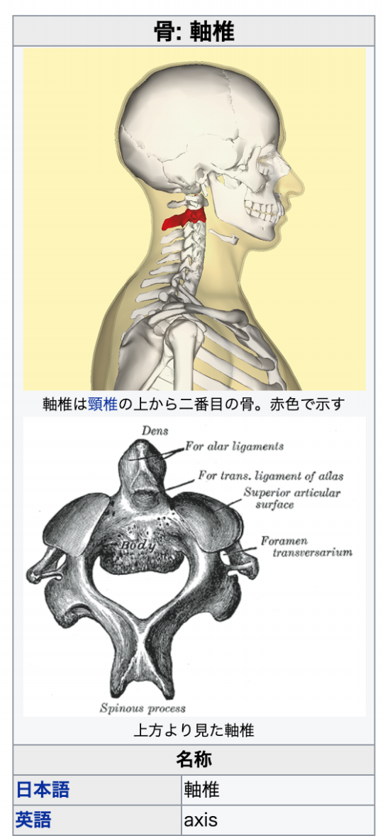愛する人の遺骨と循環するいのち Dr Mami 愛する人の遺骨と循環するいのち Dr Mami