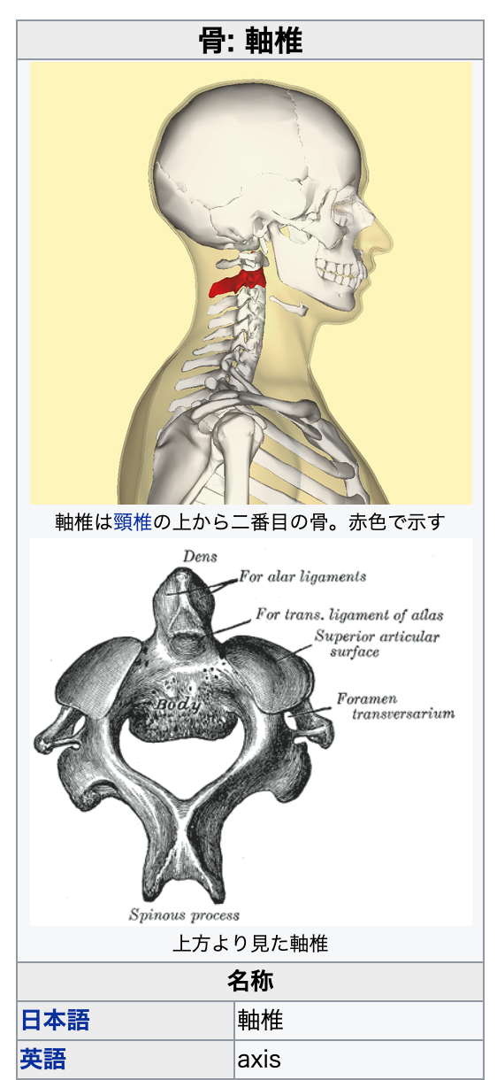 愛する人の遺骨と循環するいのち Dr Mami