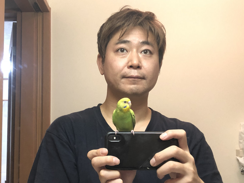 インコを飼い始めました Buddy S English College インコを飼い始めました Buddy S English College