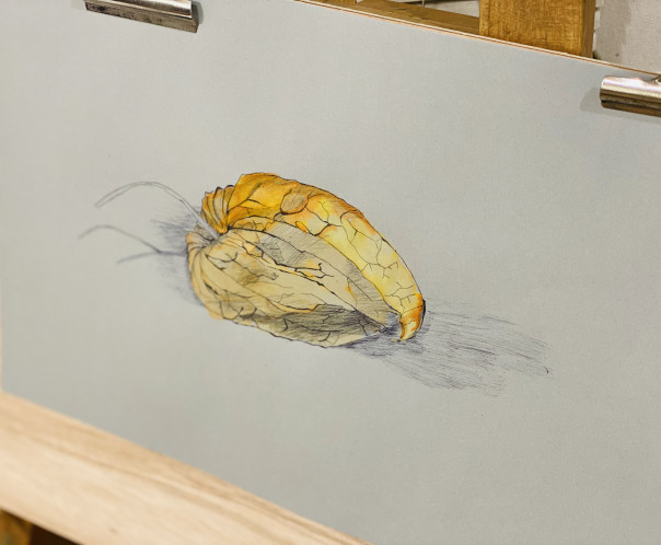 中学生 よく目を凝らして 絵画教室 Atago Art Lab あたごラボ 中学生 よく目を凝らして 絵画教室 Atago Art Lab あたごラボ