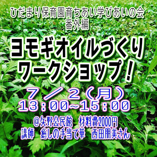 ヨモギオイルづくりワークショップ ひだまり保育園 安藝里山保育