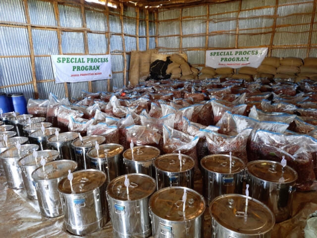 エチオピア ベンチマジ ゲシャ アナエロビック ナチュラル200g | F.C.B.N.