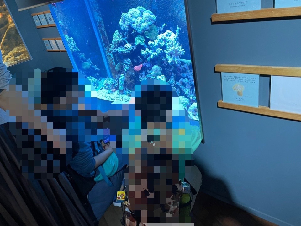 みなとやま水族館ツアー 障がい者家族の会 神戸 紬(つむぎ)当事者家族のためのコミュニティ