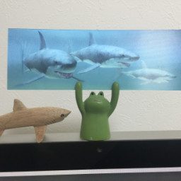 サメのイラスト 無料のアイコンライブラリ