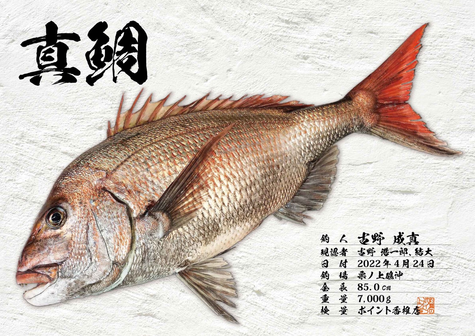 真鯛記録保持者 小学6年生 85cm デジタル魚拓 | 遊漁船カナト