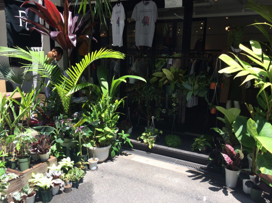 ネイチャー 的な Bizen Shiori