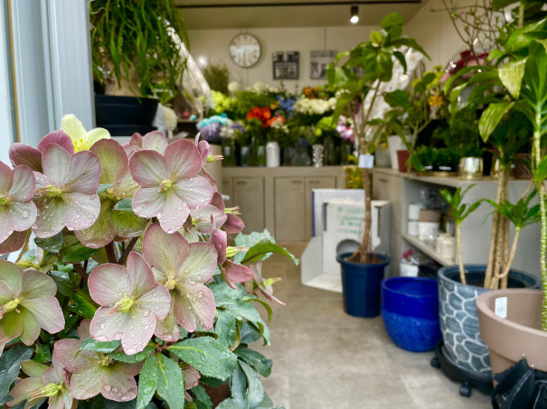 隠れたイケてる花屋さん 高石市 Spotlight