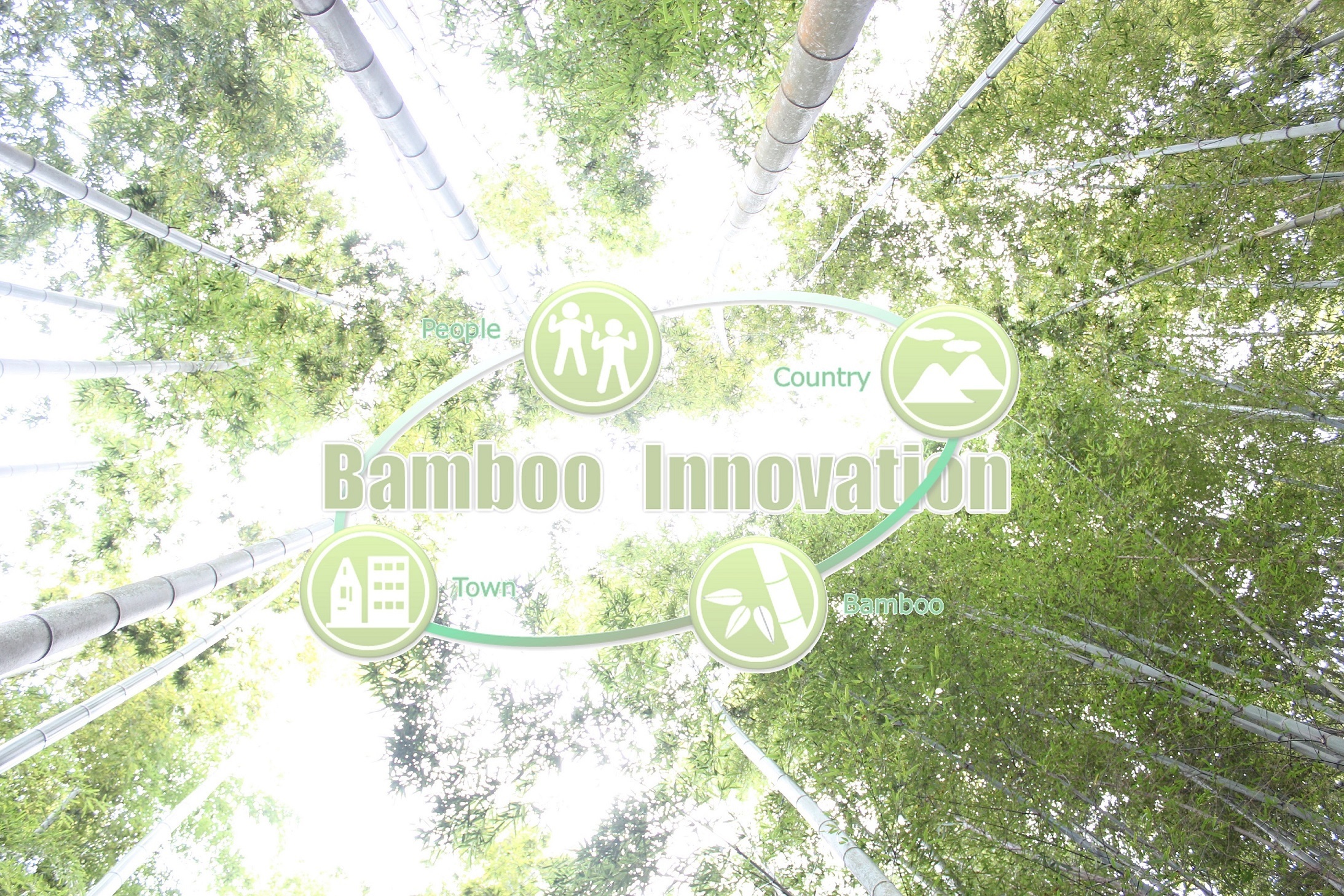 Bamboo Innovation