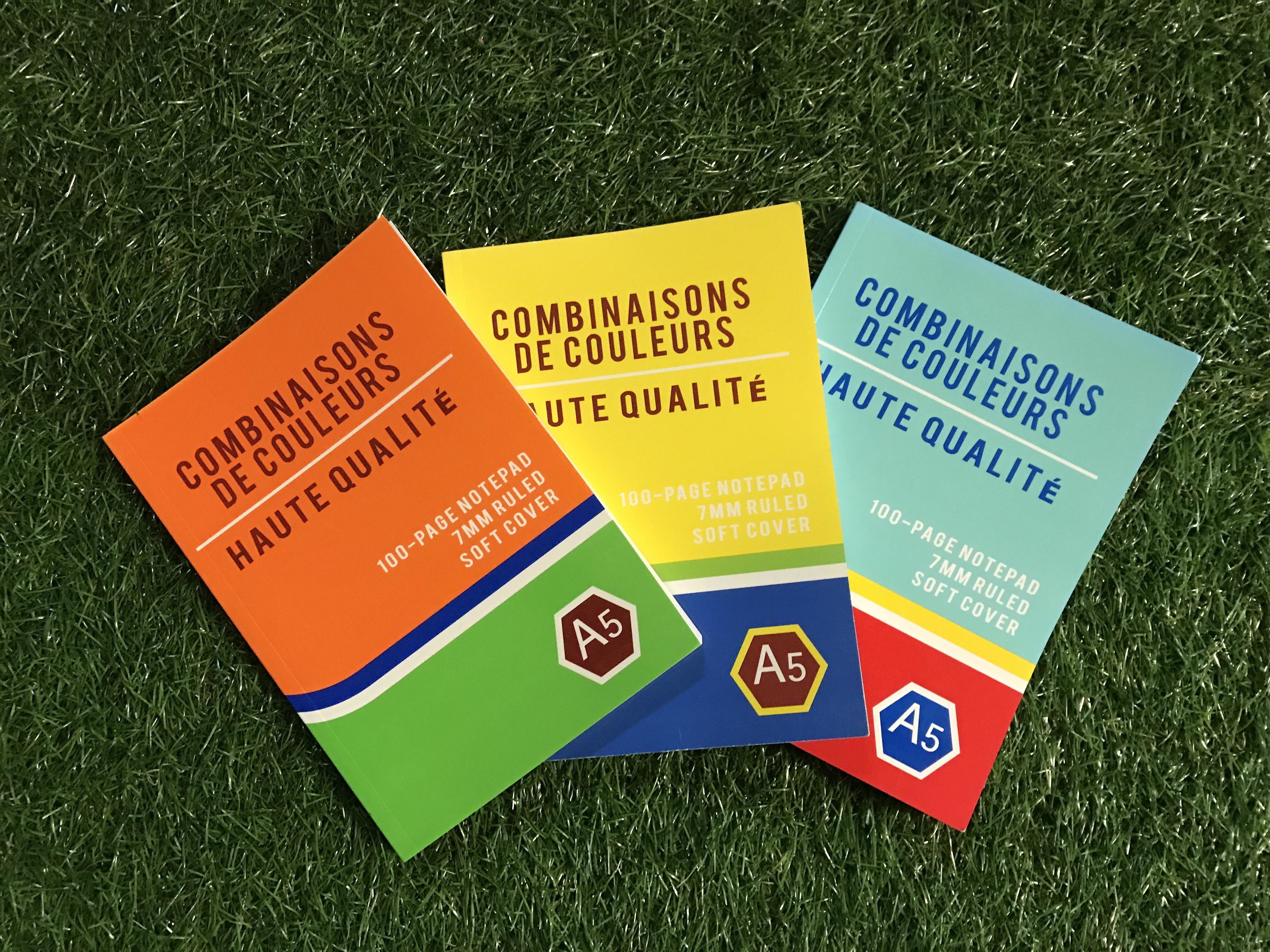 海外のスチューデントが持つ教科書 HIVISION