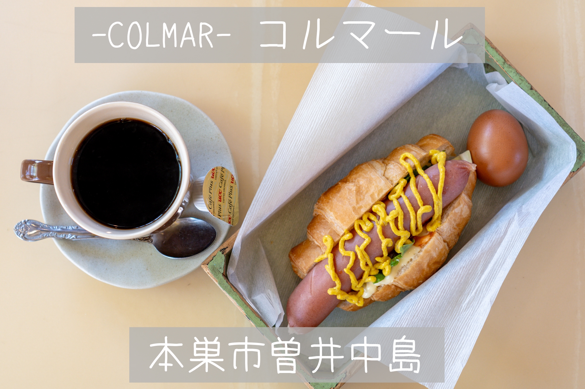 本巣市曽井中島【COLMAR(コルマール)】3種類から選べる大きな
