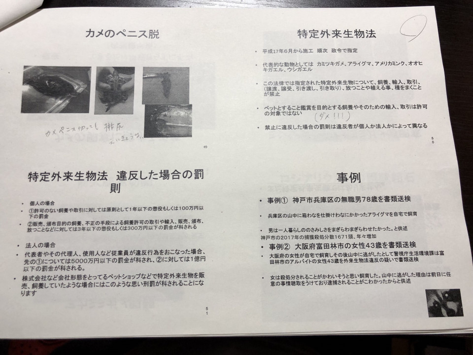 平成30年度 神戸市動物取扱責任者研修会 にくきゅう