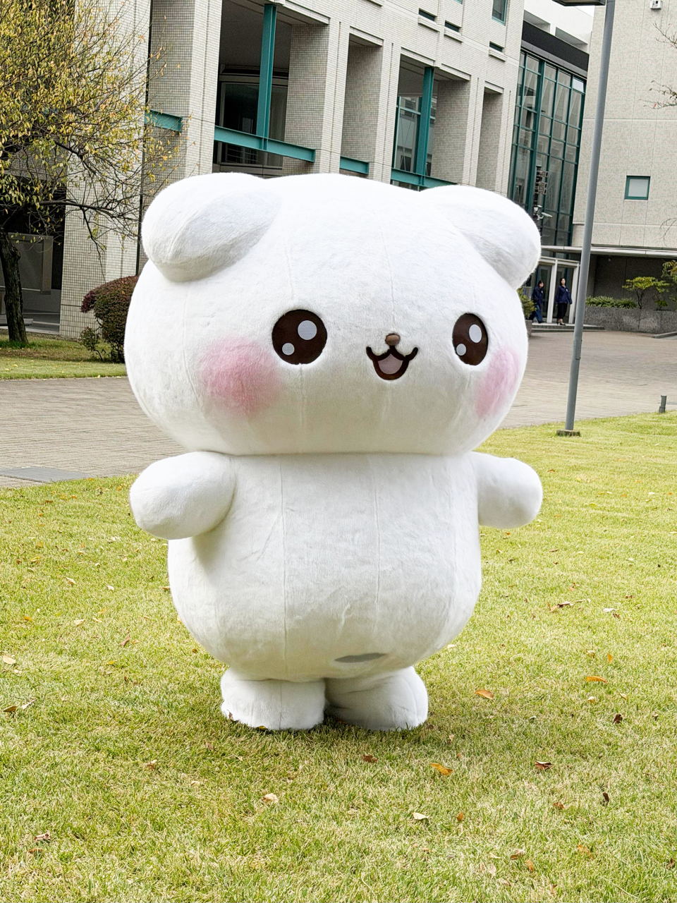 イベントレポート】東京女子大学学園祭(VERA祭) グリーティング