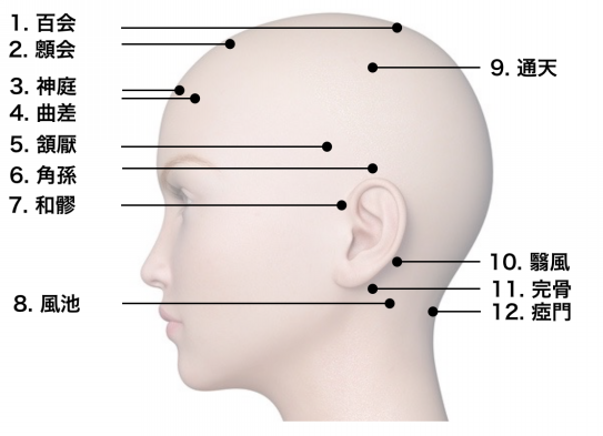 頭皮のツボ Jita